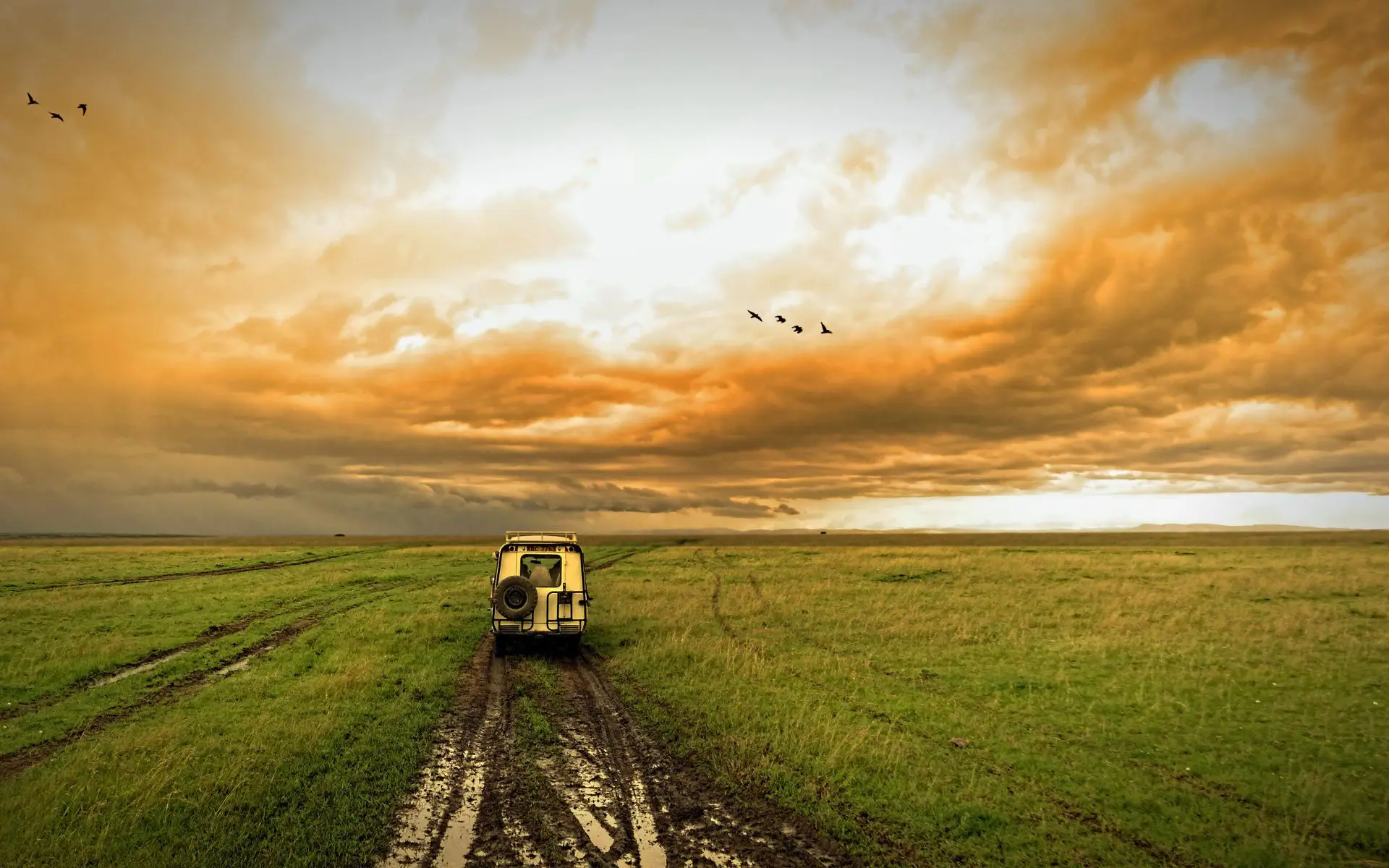 dream-explore-experience