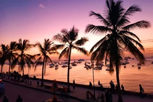 taxidi sti zanzibari