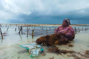 Ταξίδι στη Ζανζιβάρη