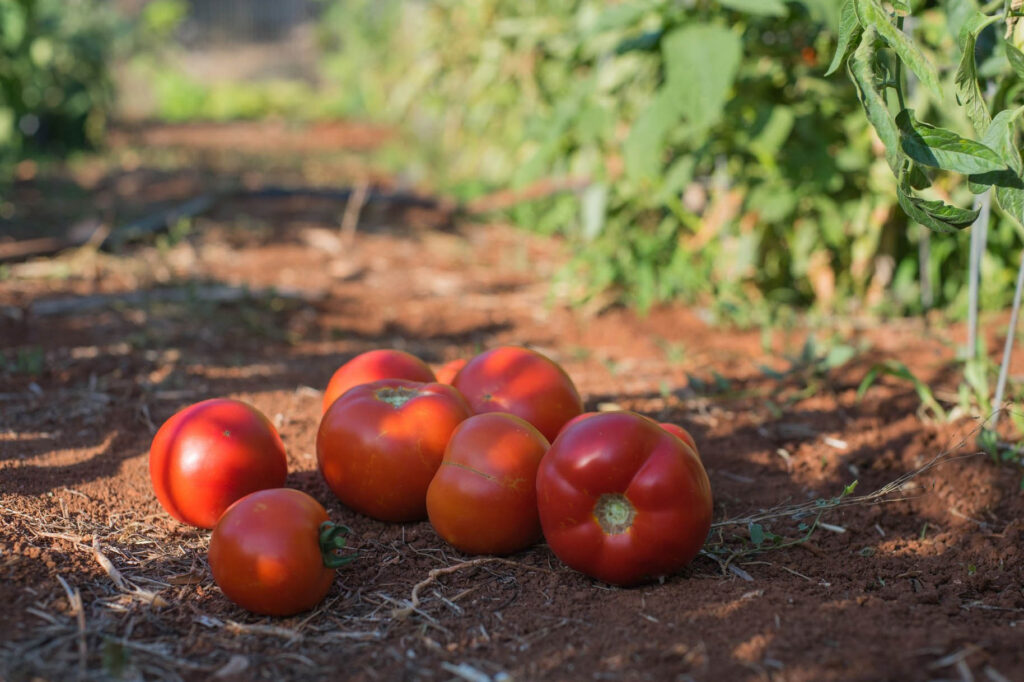 transformational retreat in crete