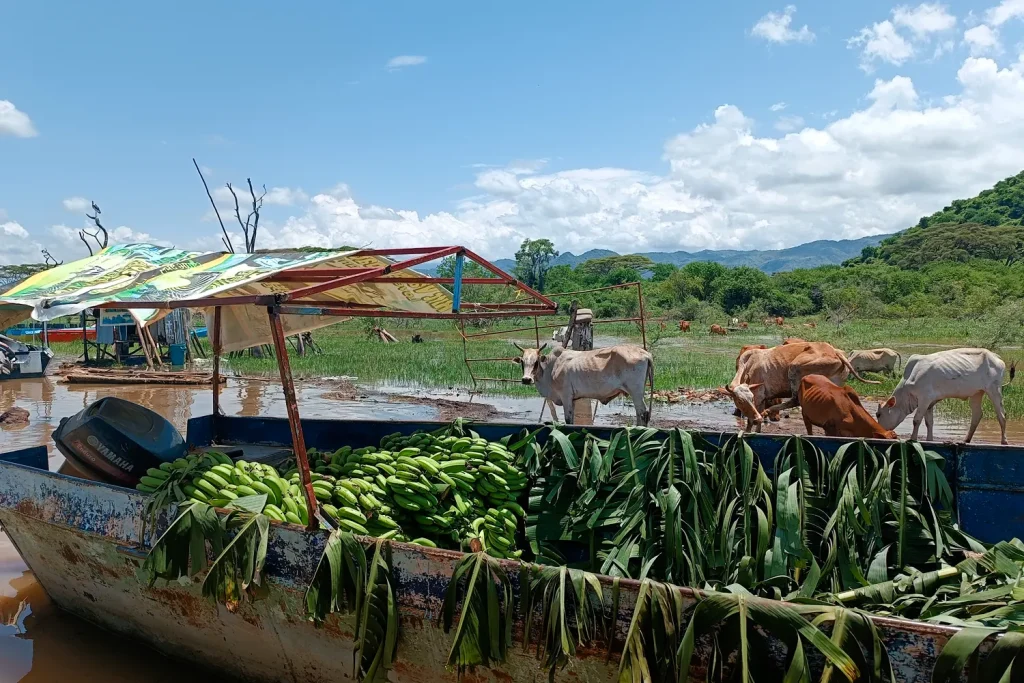 taxidi stin aithiopia