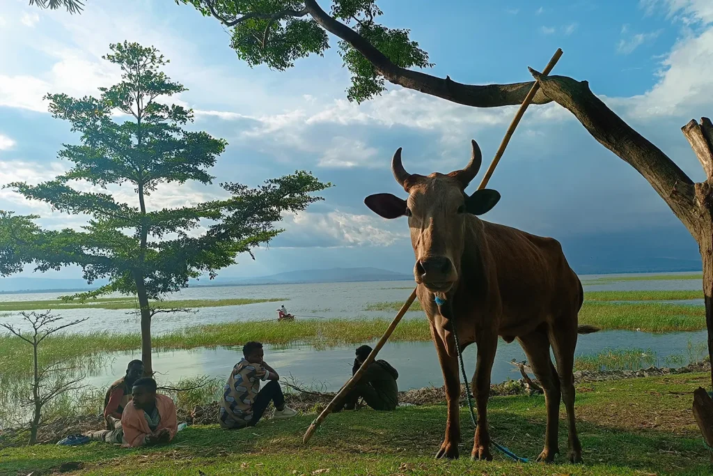 taxidi stin aithiopia