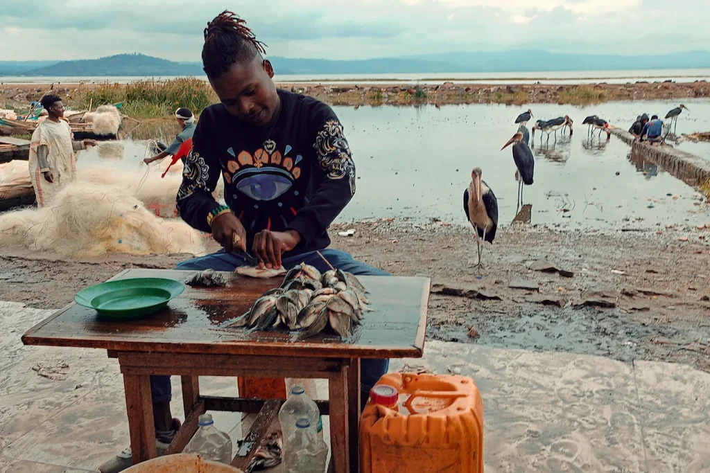 taxidi stin aithiopia