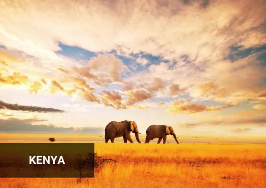 travel to kenya