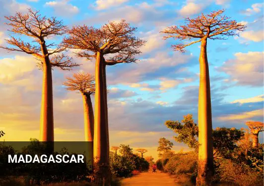 travel to madagascar