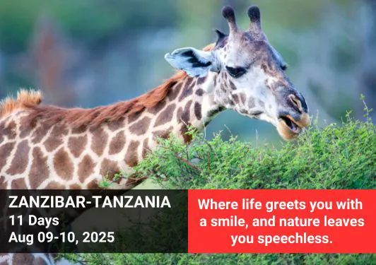 travel to zanzibar-tanzania