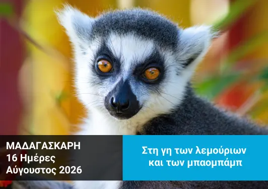 taxidi-si-madagascari Tαξίδι στη Μαδαγασκάρη - Xploristas