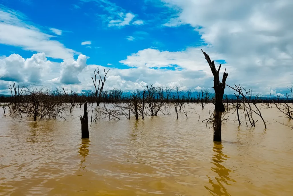 Ταξίδι στην Αιθιοπία