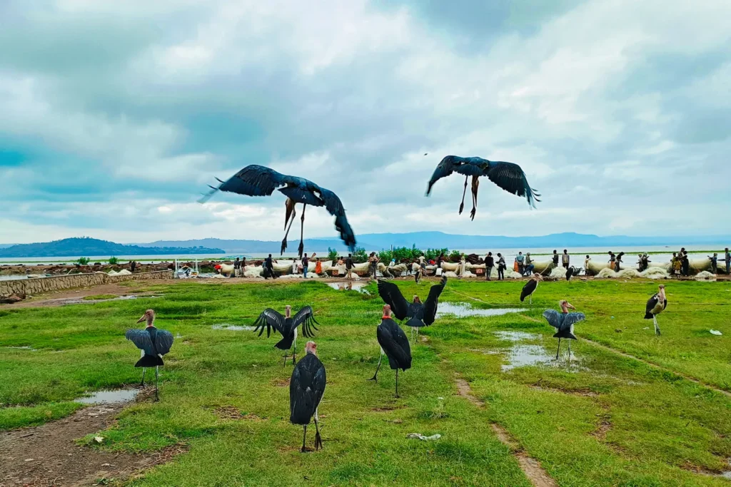 Ταξίδι στην Αιθιοπία