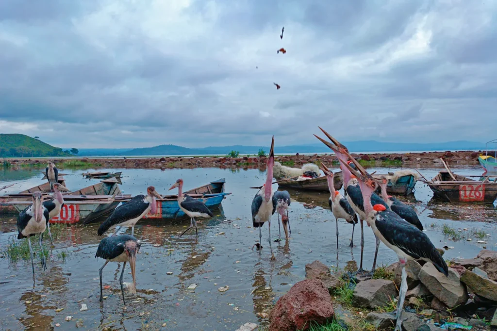 Ταξίδι στην Αιθιοπία
