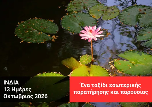 Άνθη λωτού σε λίμνη στην Ινδία