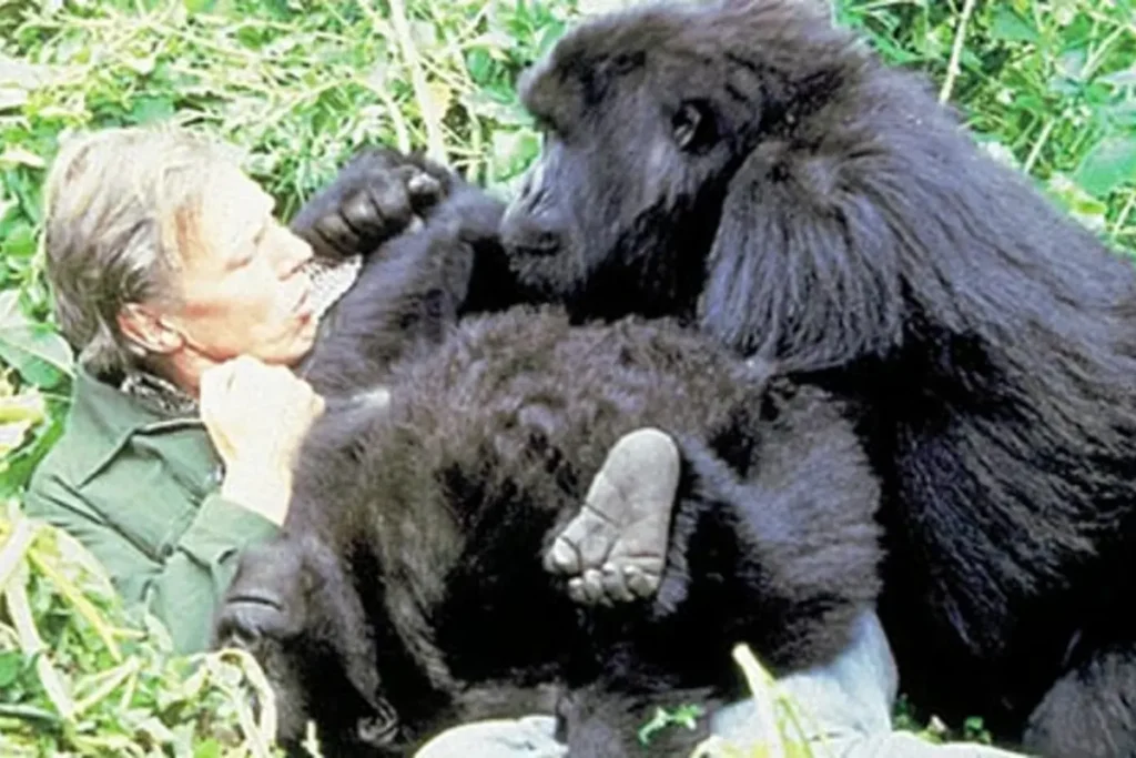 david-attenborough