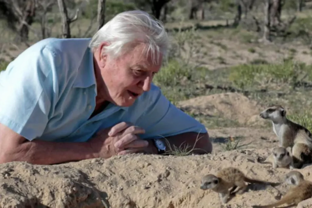 david-attenborough