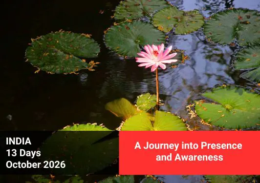 Trip to India, Osho meditation