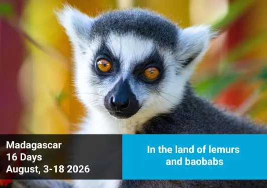 Trip to Madagascar