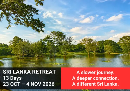 Sri Lanka Retreat 2026 Sri Lanka nature retreat in the forest