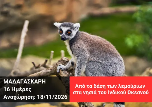 taxidi-madagaskari-xploristas-3 Tαξίδι στη Μαδαγασκάρη - Xploristas